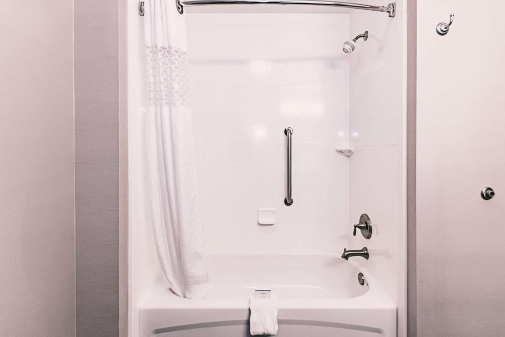 a bathroom with a shower and a white tub at Hampton Inn Niagara Falls/ Blvd in Niagara Falls