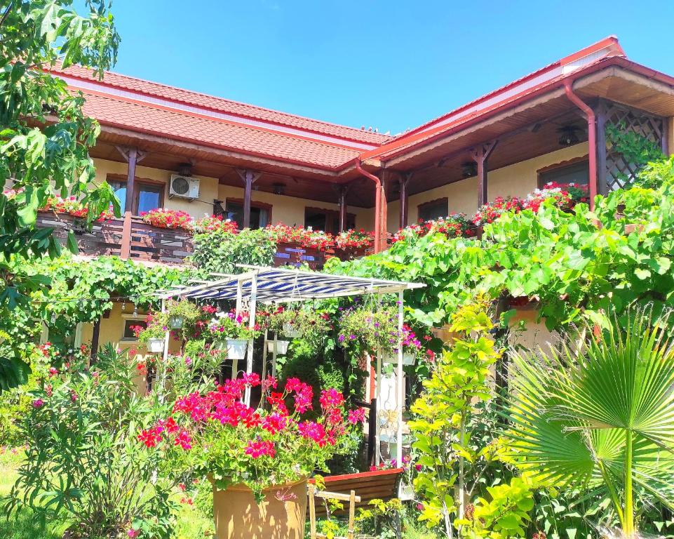 a house with lots of flowers and an umbrella at Pensiunea Roșu Litoral in Douăzeci şi Trei August