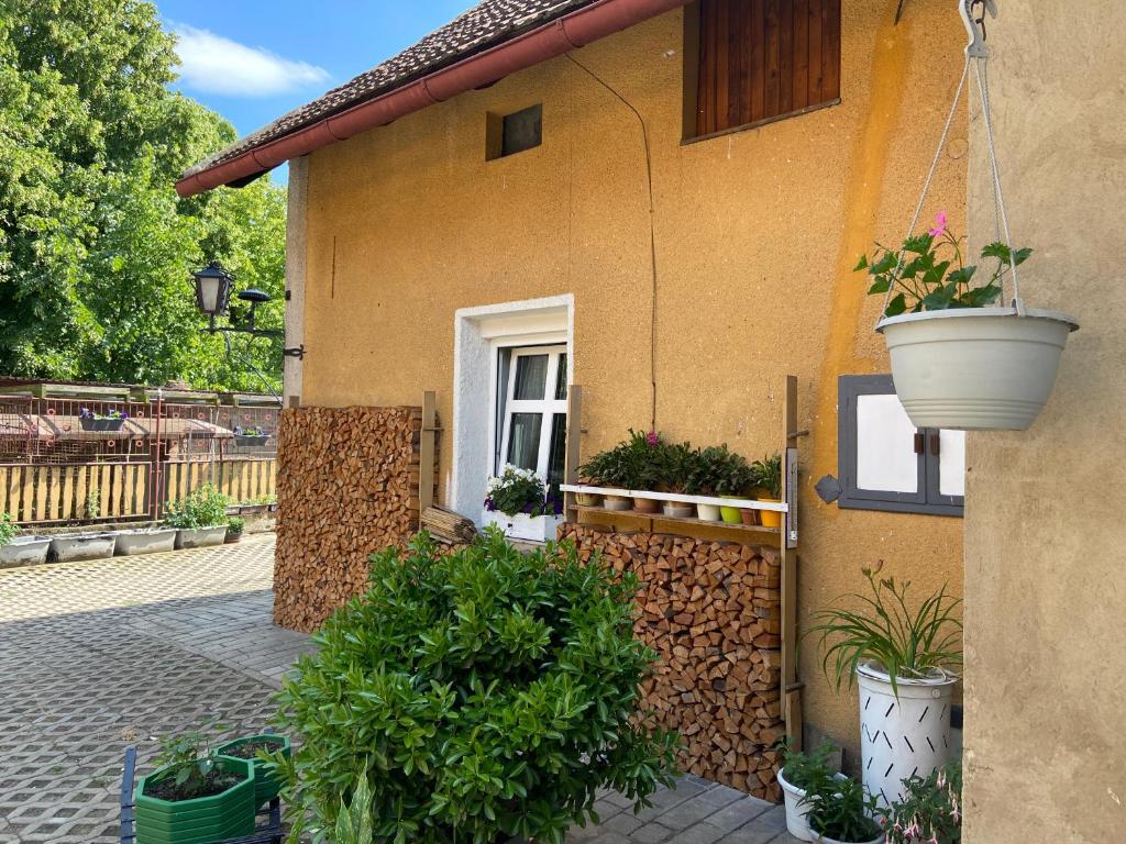 Ubytování u babičky في Perutz: منزل به نباتات الفخار