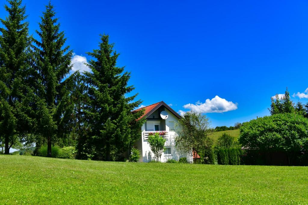 een huis op een heuvel met een groen veld bij Apartments Marija in Rakovica