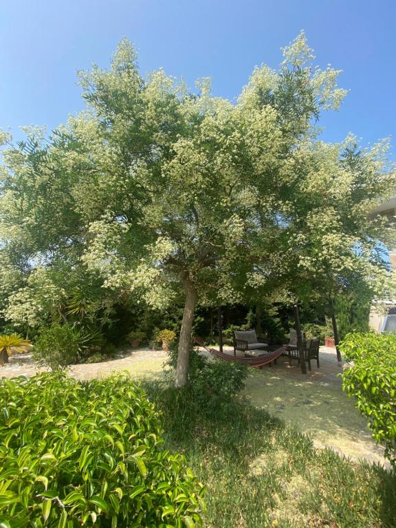Casa Lusentum, Torrevieja – Bijgewerkte prijzen 2023