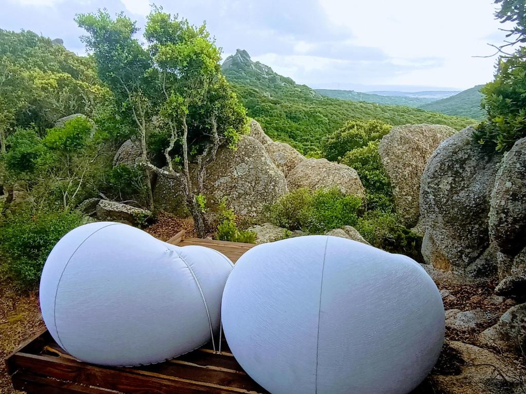 dos esferas blancas sentadas sobre un banco de madera en La Cera Farm Camping B&B, en Santa Teresa Gallura