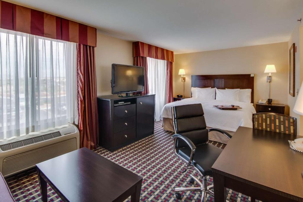Hampton Inn & Suites Las Cruces I-25 - King Studio Suite - Niet -roken