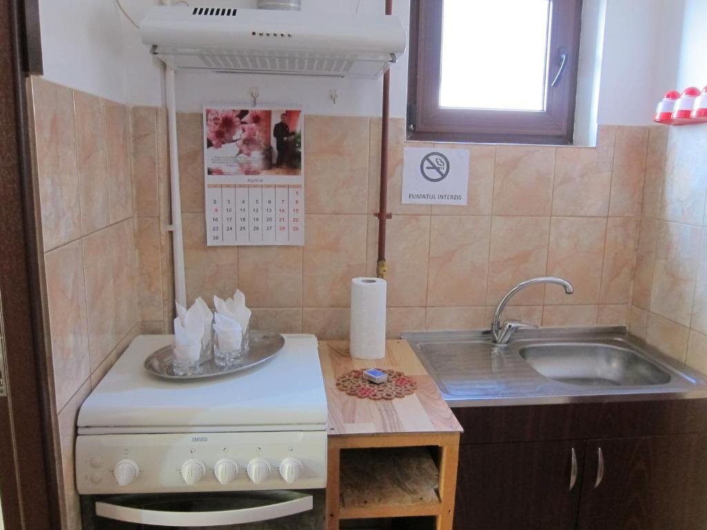 a small kitchen with a sink and a stove at Vila Gherghisan in Valu lui Traian