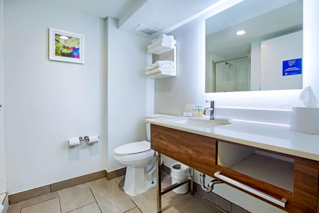 Hampton Inn Slidell - Deluxe Kamer Met Kingsize Bed - Niet-Rokers
