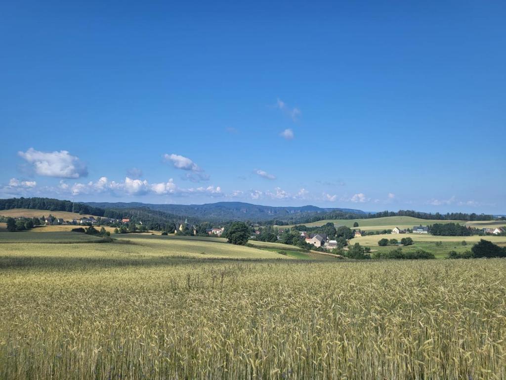 Příroda nedaleko apartmánu