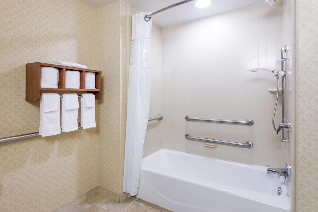 Hampton Inn Moss Point - King Room - Mobiliteitstoegang/niet -roken