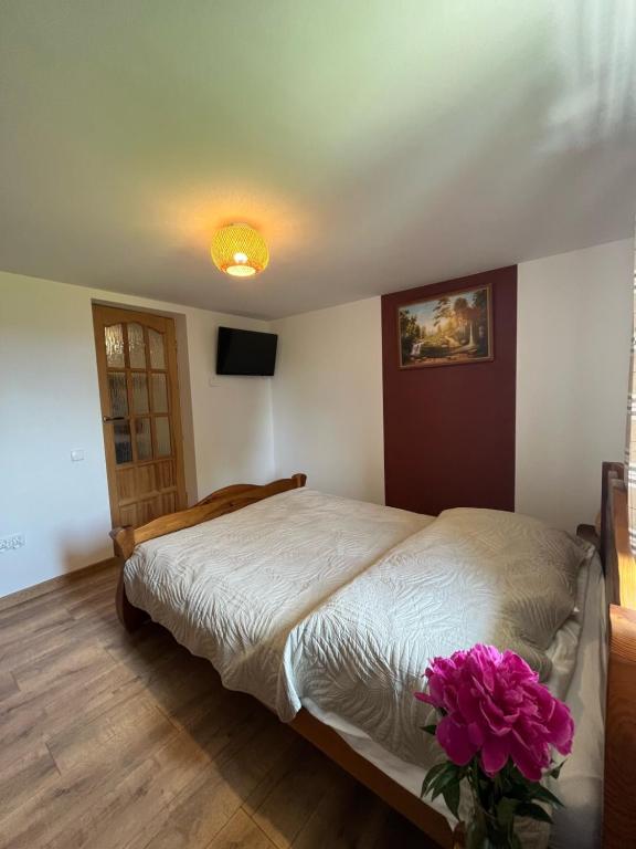 Pokoje Goscinne u Naglaka Willa Zab - 8