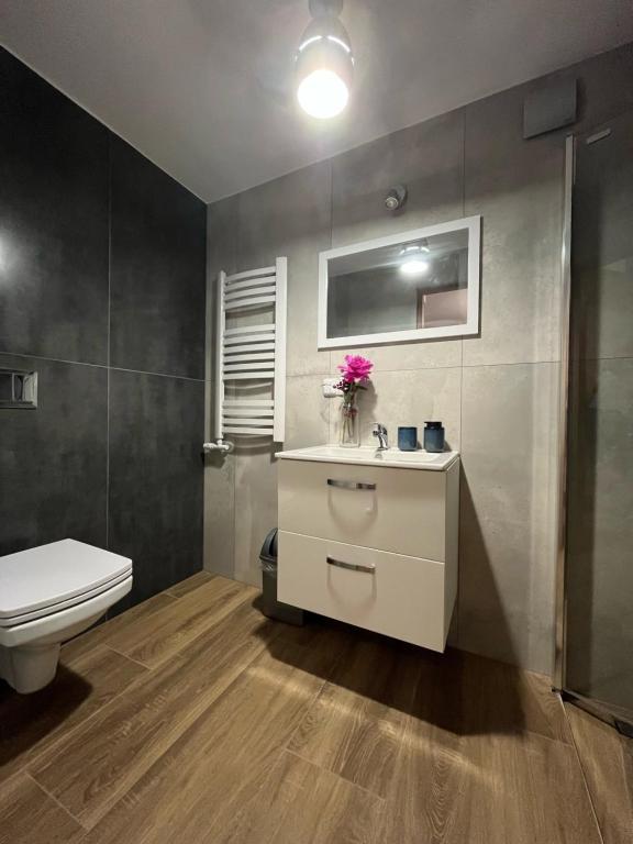 Pokoje Goscinne u Naglaka Willa Zab - 10