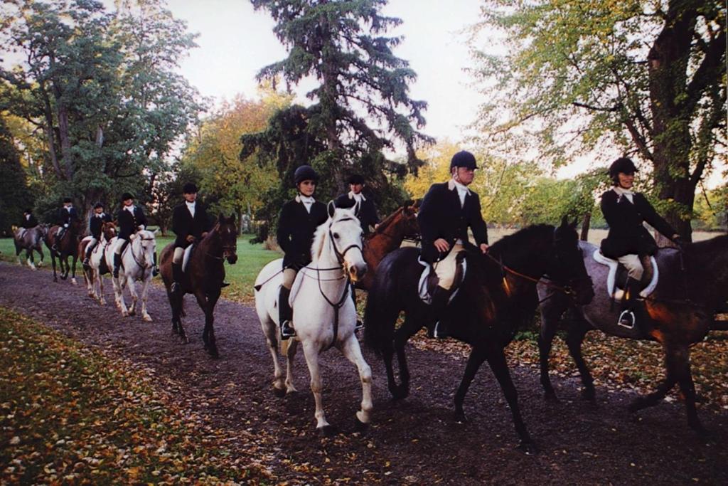 Hampton Inn Geneseo, Geneseo Updated 2024 Prices