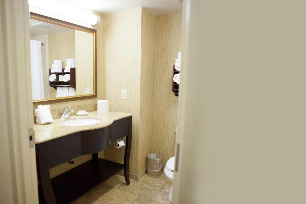Koupelna v ubytování Hampton Inn Rochester-Webster