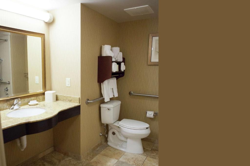 Koupelna v ubytování Hampton Inn Rochester-Webster