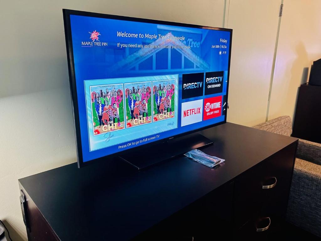 TV a/nebo společenská místnost v ubytování Maple Tree Inn