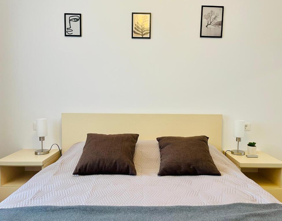 Postel nebo postele na pokoji v ubytování Mountain Crib in Urban Plaza w. Parking & Netflix