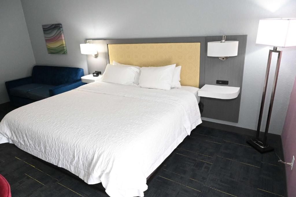 Hampton Inn Valdosta/Lake Park Area - Habitación King