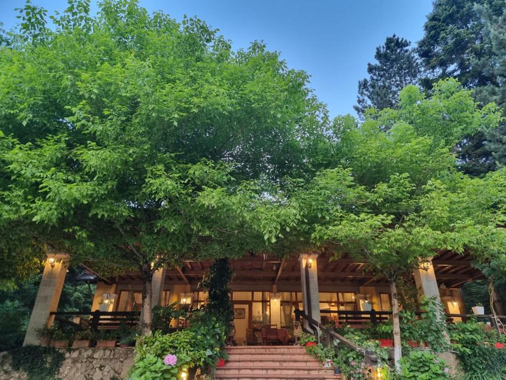 a building with stairs and trees in front of it at Guesthouse Alberti Llogara in Shalë
