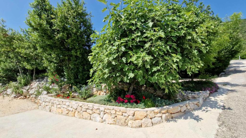 Zahrada ubytování Villa Paradise Garden
