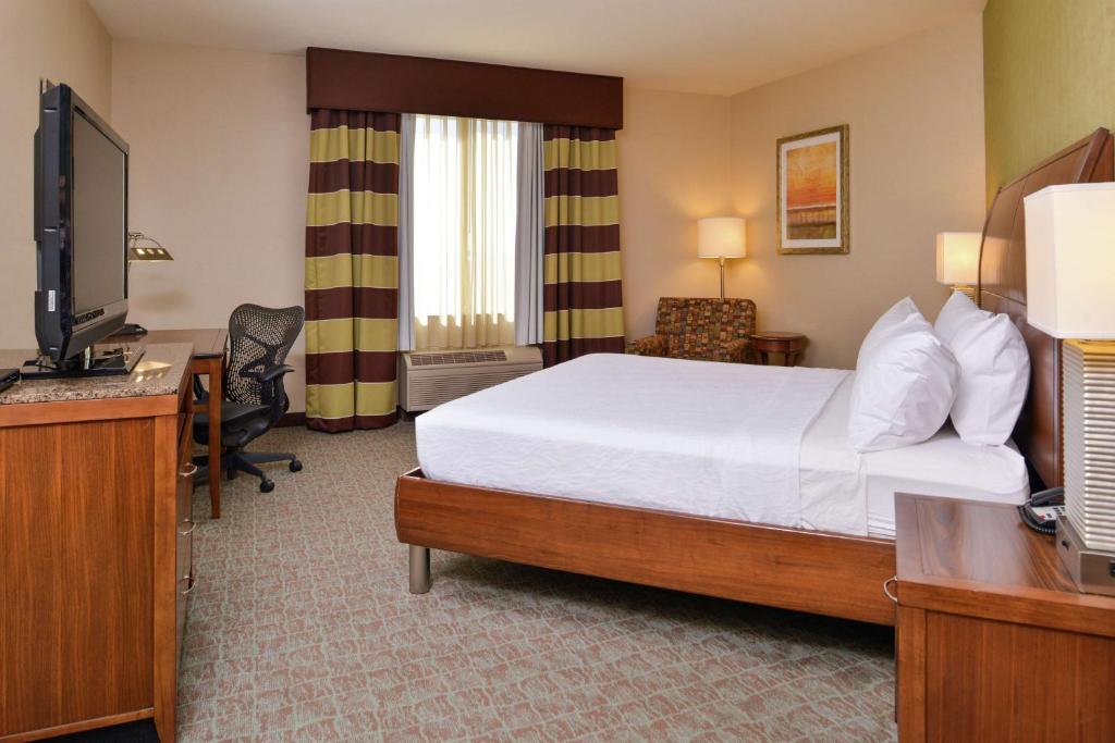 Hilton Garden Inn Boise Spectrum - Deluxe King Room