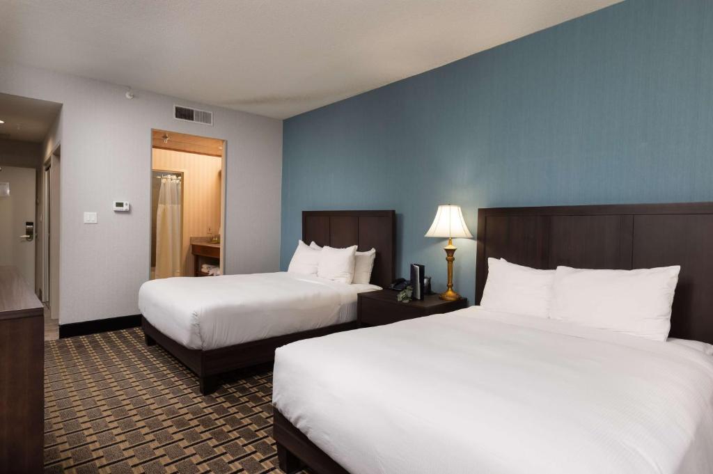 Inn at the Colonnade Baltimore - A DoubleTree by Hilton Hotel - Queen Room Met Twee Queensize Bedden - Niet -roken