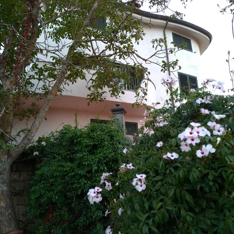 Zahrada ubytování B&B Bene Bennios IUN F1441