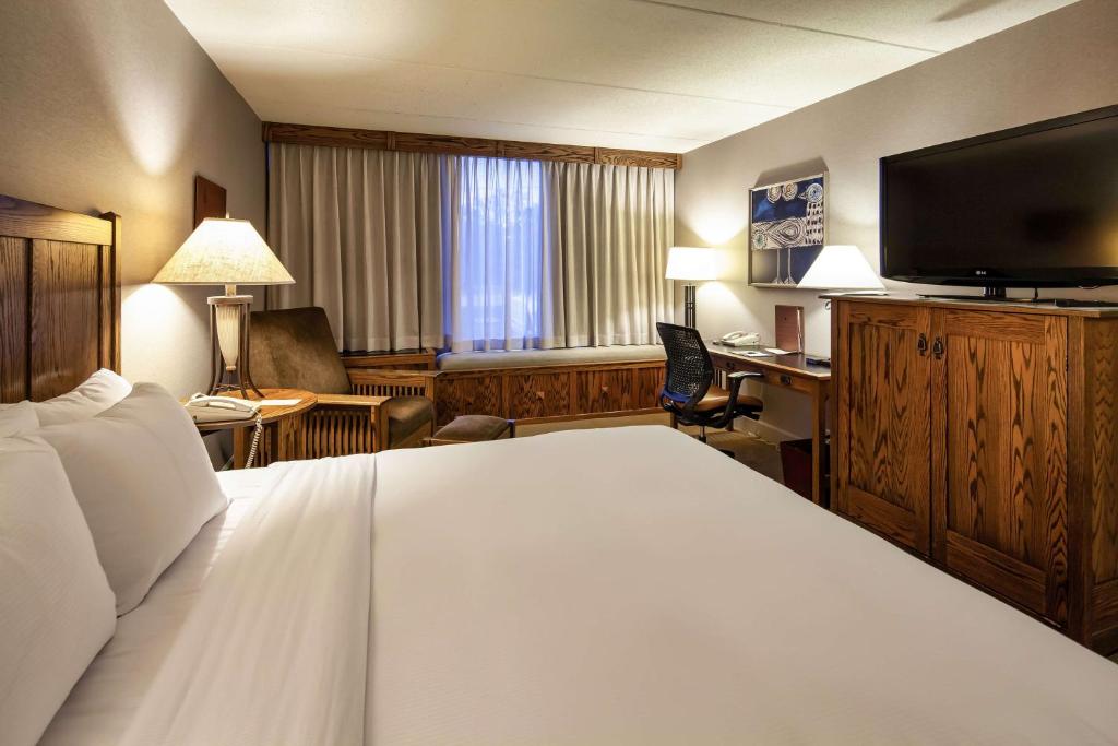 DoubleTree by Hilton Libertyville-Mundelein - King Room - Non Fumatori