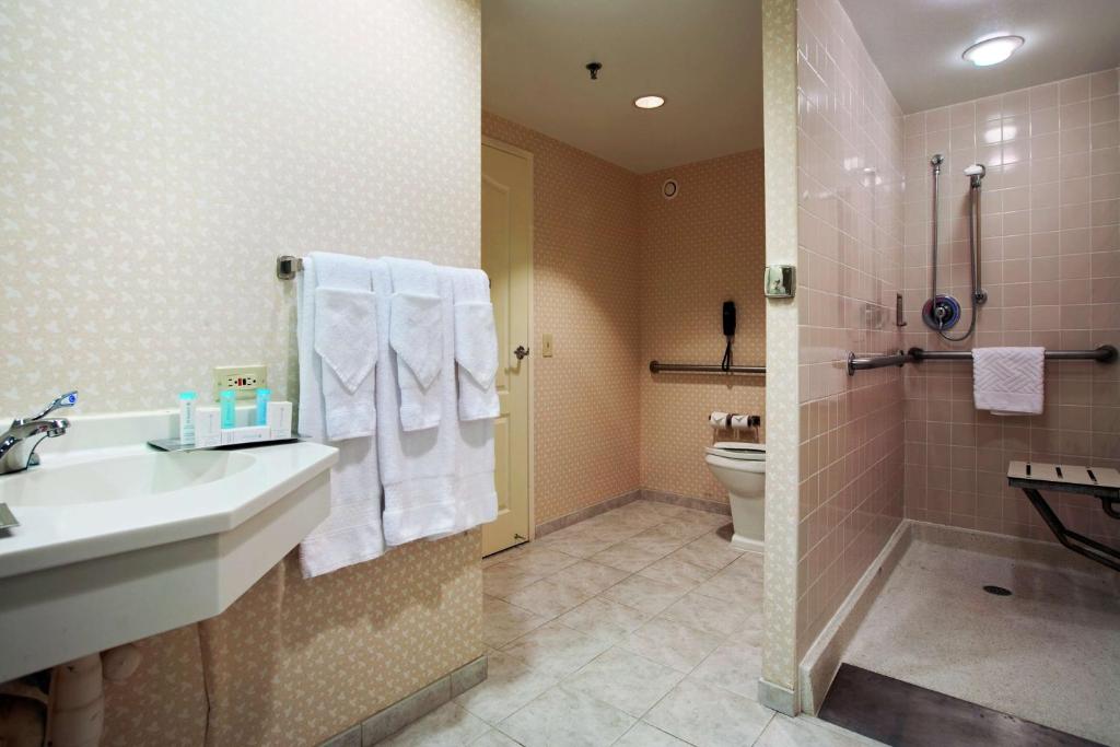 Hilton Suites Chicago/Oakbrook Terrace - 