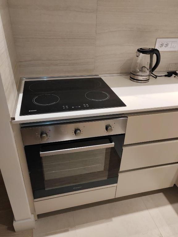 Kuchyň nebo kuchyňský kout v ubytování Apartman Julija