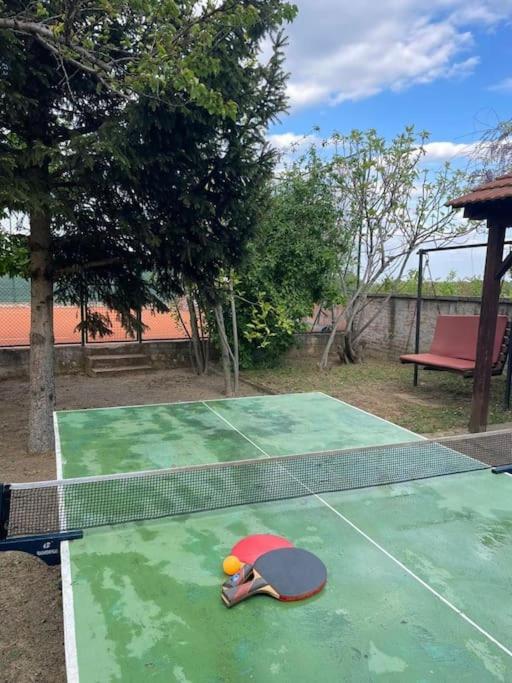 Stolní tenis v ubytování Vikendica S, Alibegovac nebo okolí