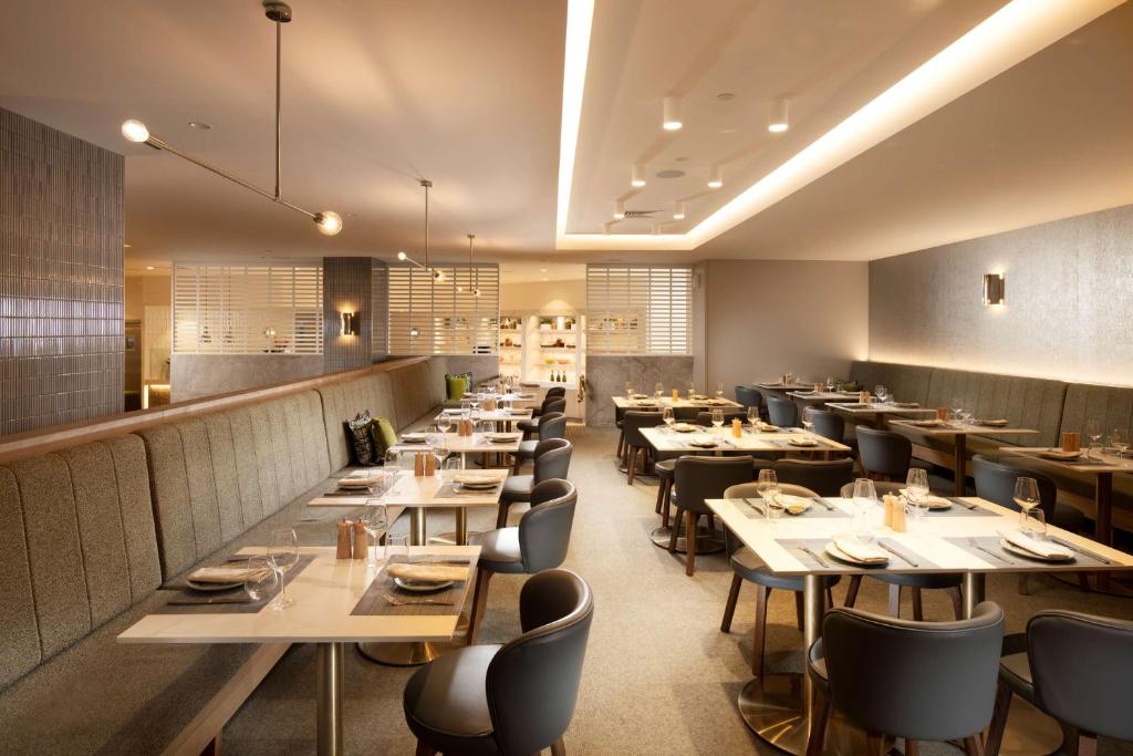 Hilton Darwin - Resim 14