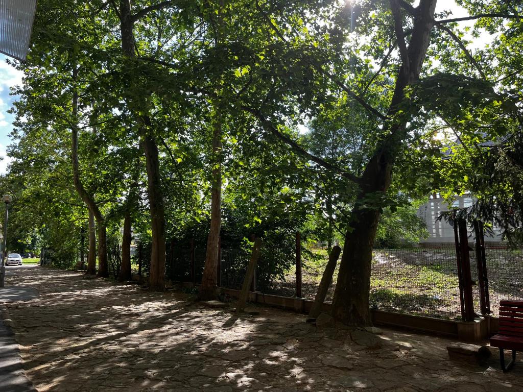 Příroda nedaleko apartmánu