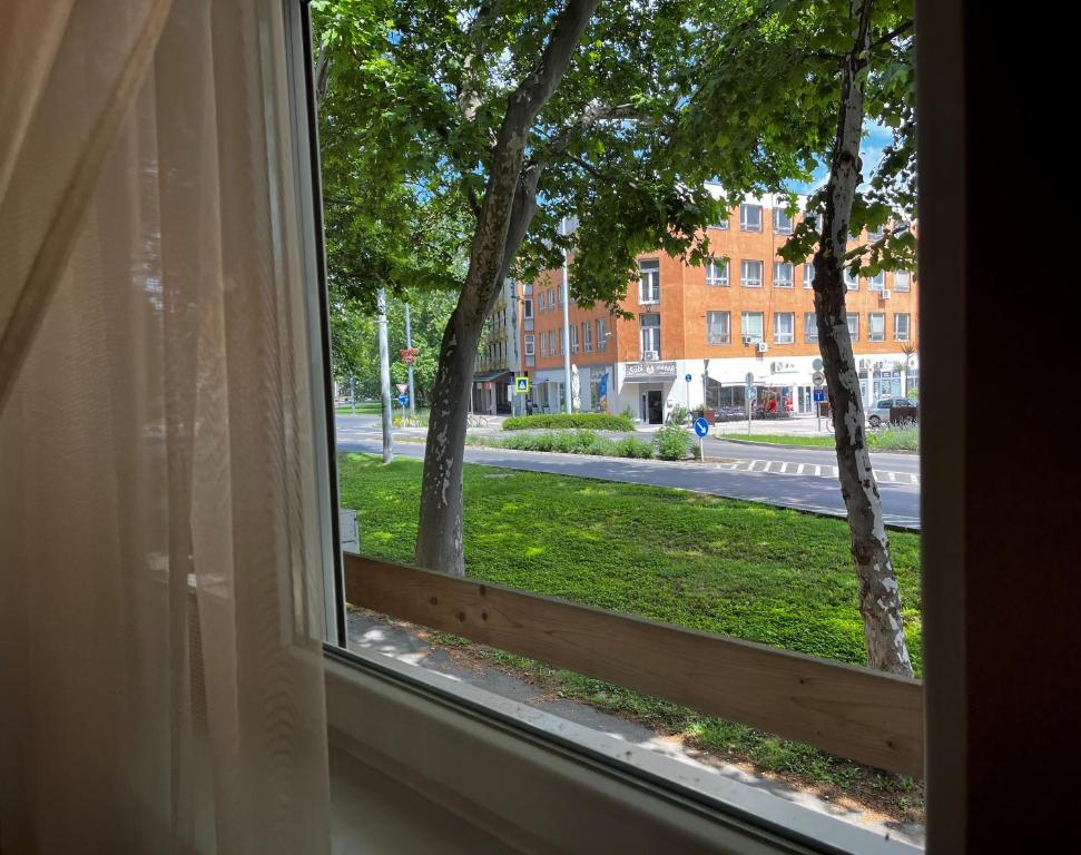 Zahrada ubytování Borisz Apartman