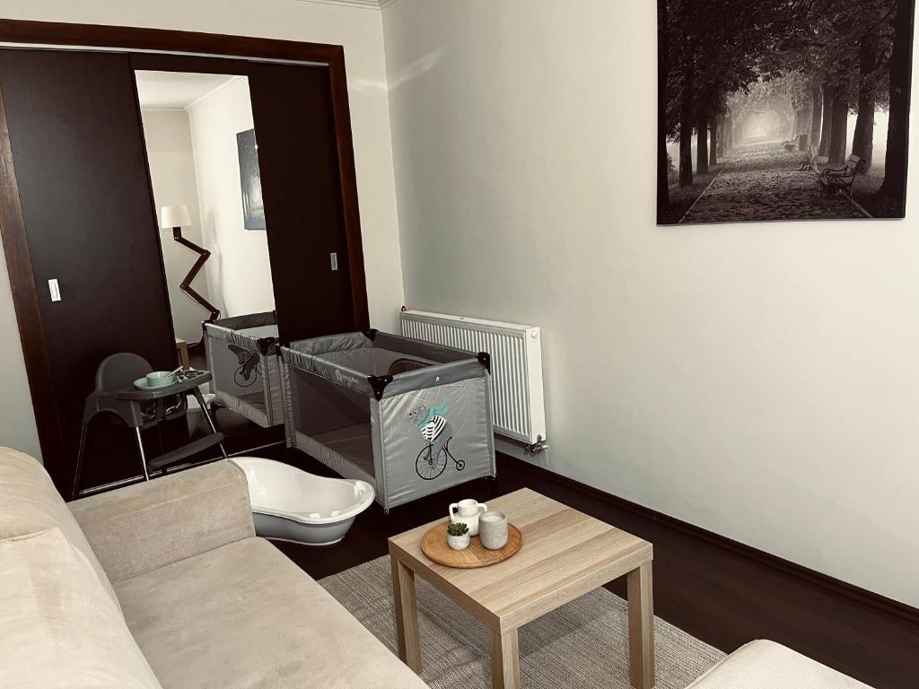 TV a/nebo společenská místnost v ubytování Borisz Apartman
