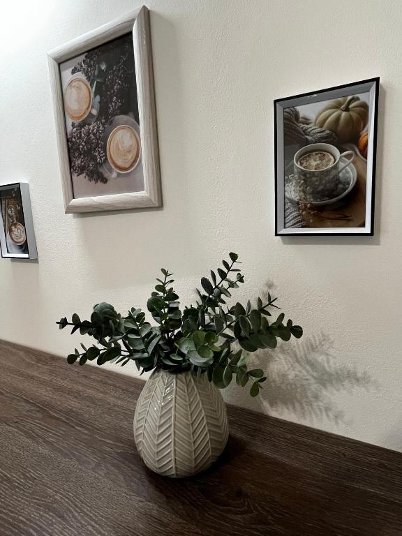 Fotografie z fotogalerie ubytování Borisz Apartman v destinaci Makó