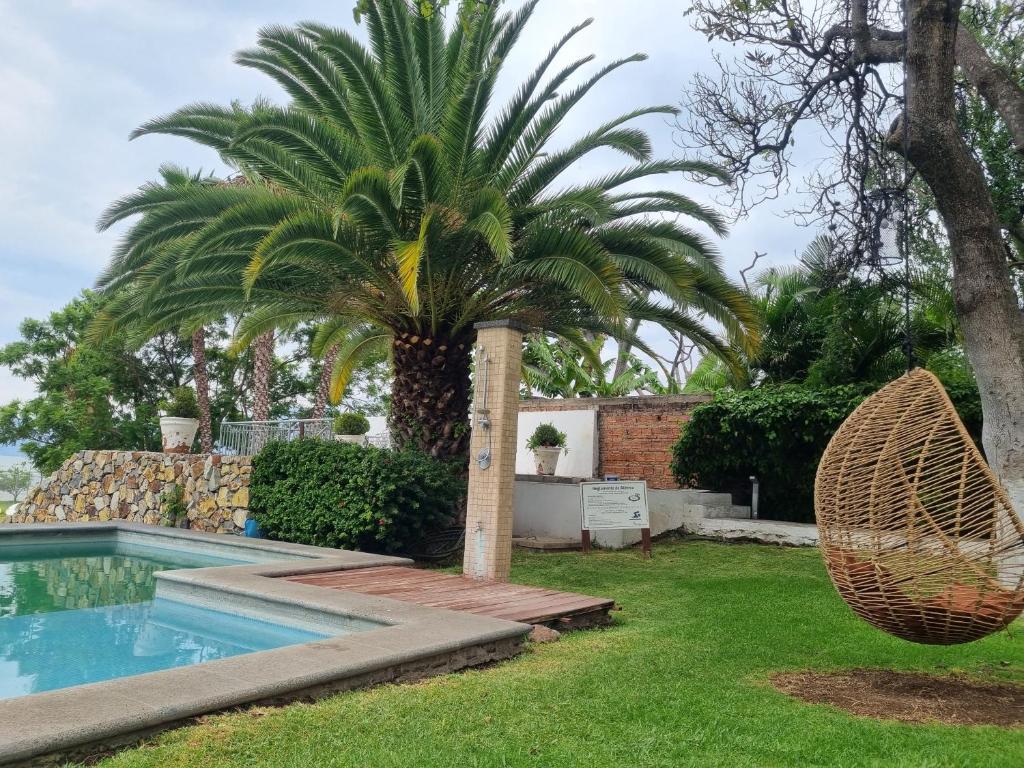 een palmboom in een tuin naast een zwembad bij Hotel La Ribereña in Ajijic