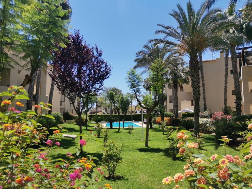 een tuin met palmbomen en een zwembad bij Belrodagolf in San Javier