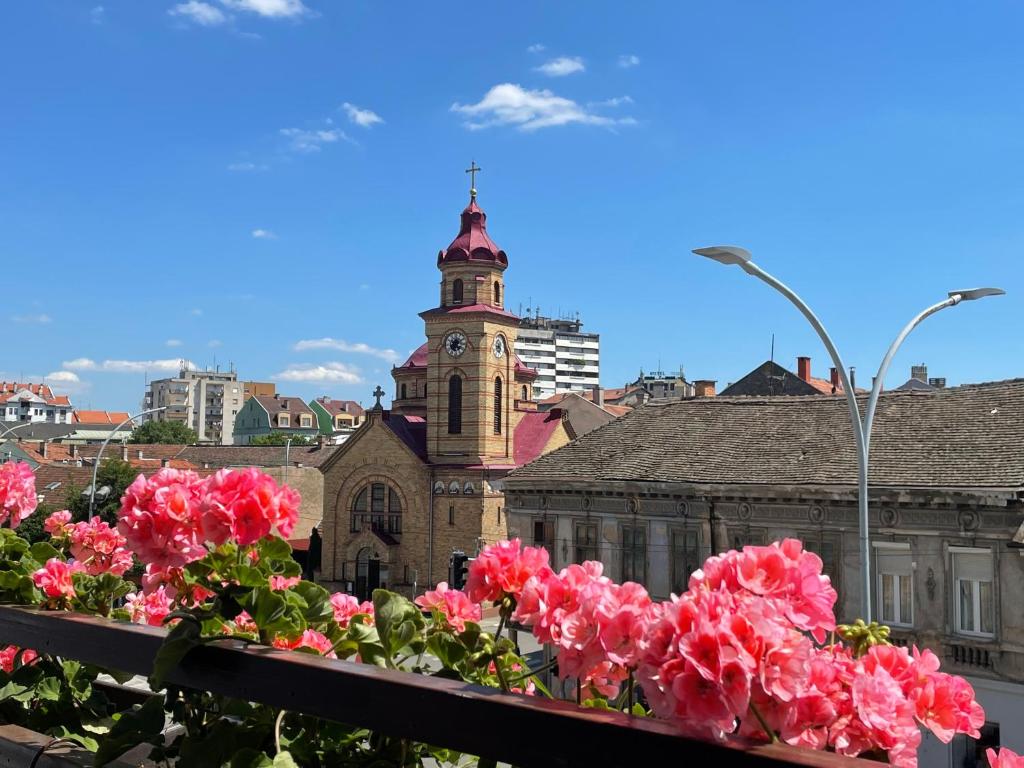 stary budynek z wieżą zegarową i różowymi różami w obiekcie Sunny apartment w mieście Vršac