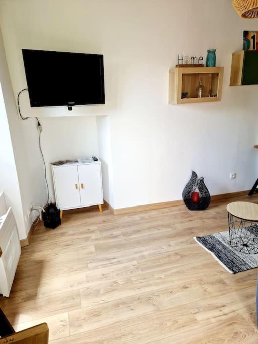 TV a/nebo společenská místnost v ubytování Maisonnette du Foirail