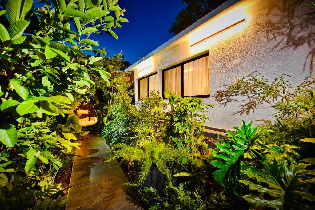 un giardino con piante di fronte a un edificio di אדמת הארץ - Admat Haaretz a H̱azon
