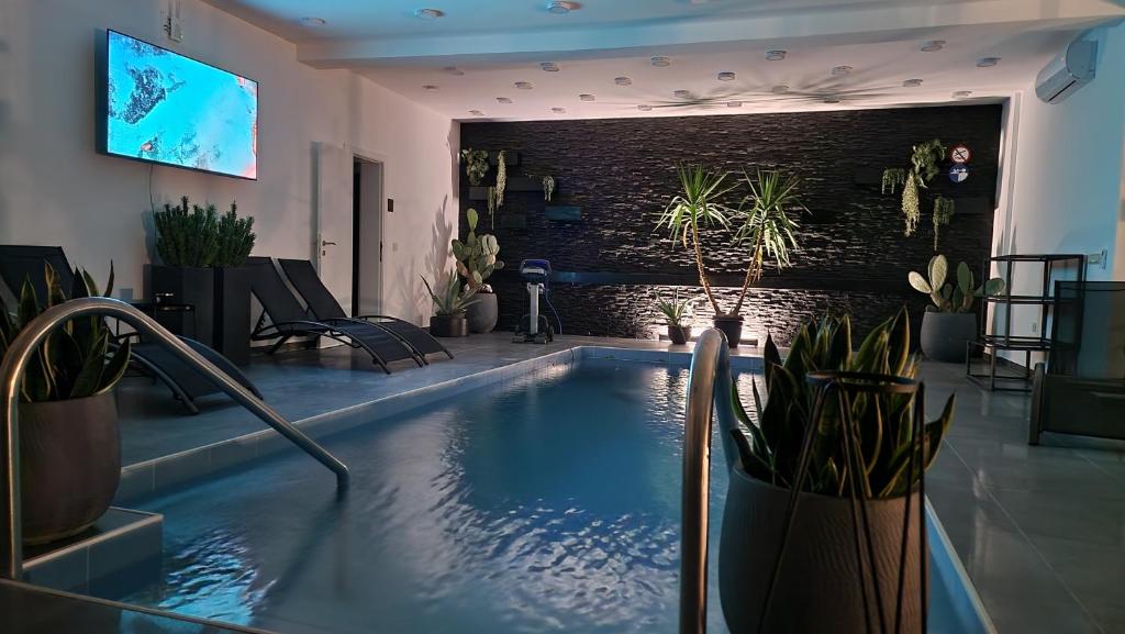 una piscina con macetas en una habitación en COCO en Veliko Gradište