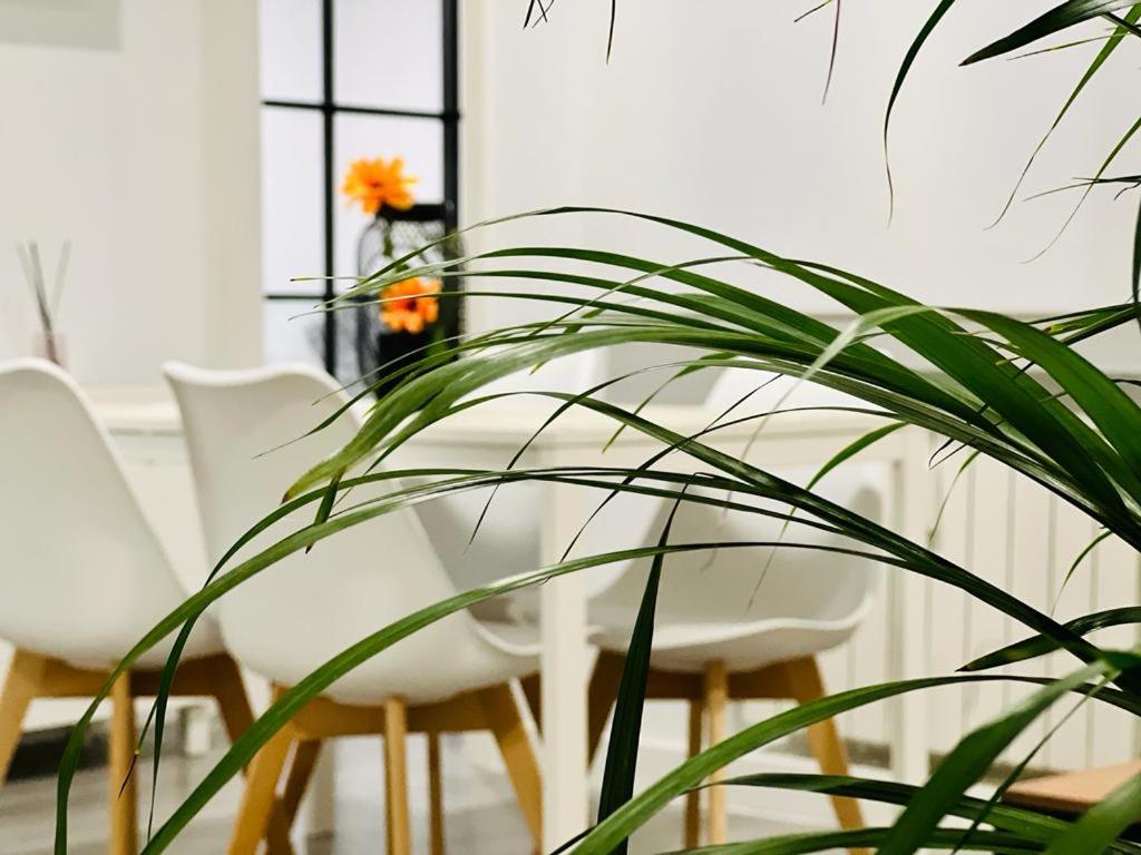 eine Gruppe weißer Stühle und eine Pflanze in einem Raum in der Unterkunft BEST FLAT NEAR REAL MADRID STADIUM in Madrid