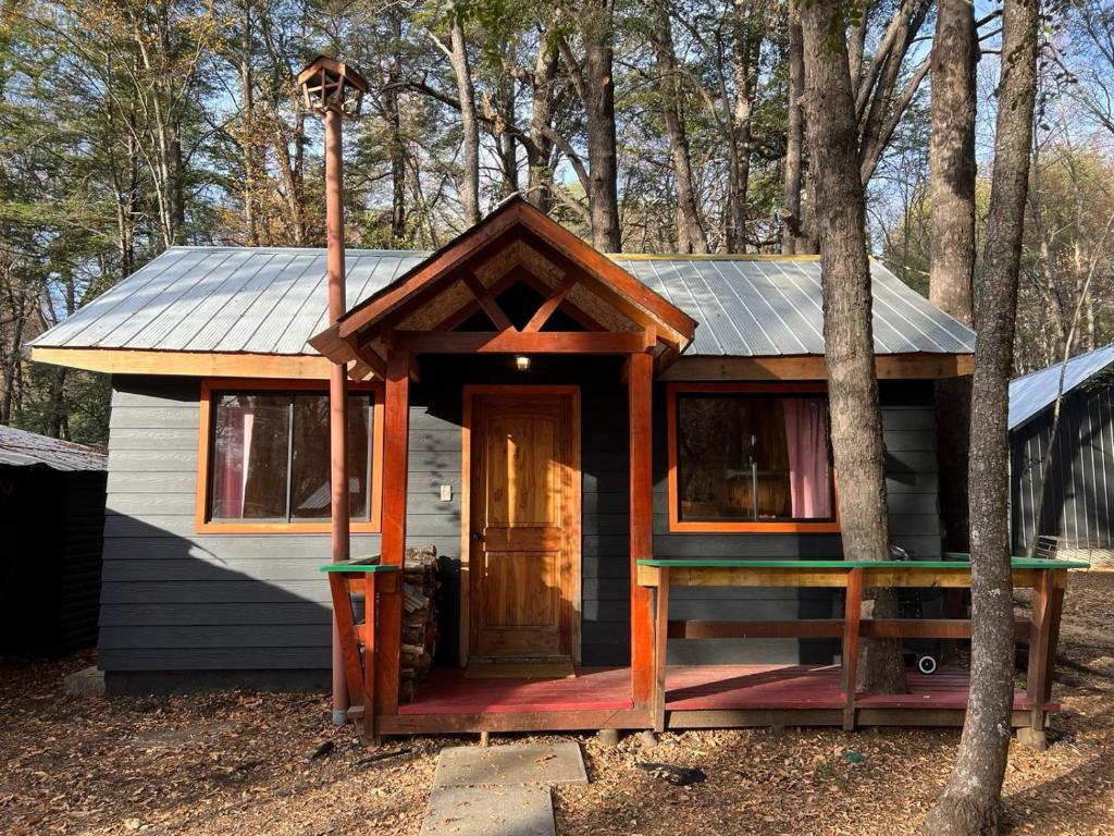 eine kleine Hütte mit einer Tür im Wald in der Unterkunft Cabañas Bosque las Trancas in Las Trancas