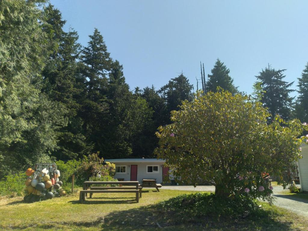 Zahrada ubytování Dolphin Motel