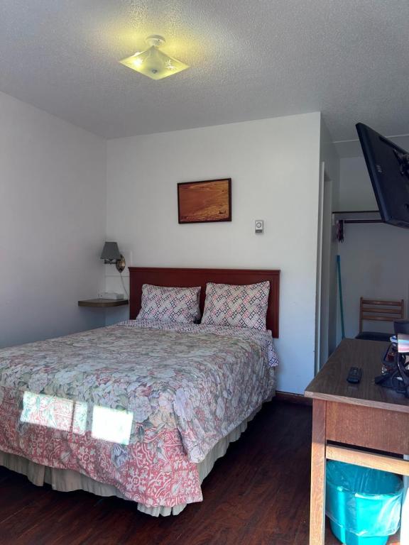 Postel nebo postele na pokoji v ubytování Dolphin Motel