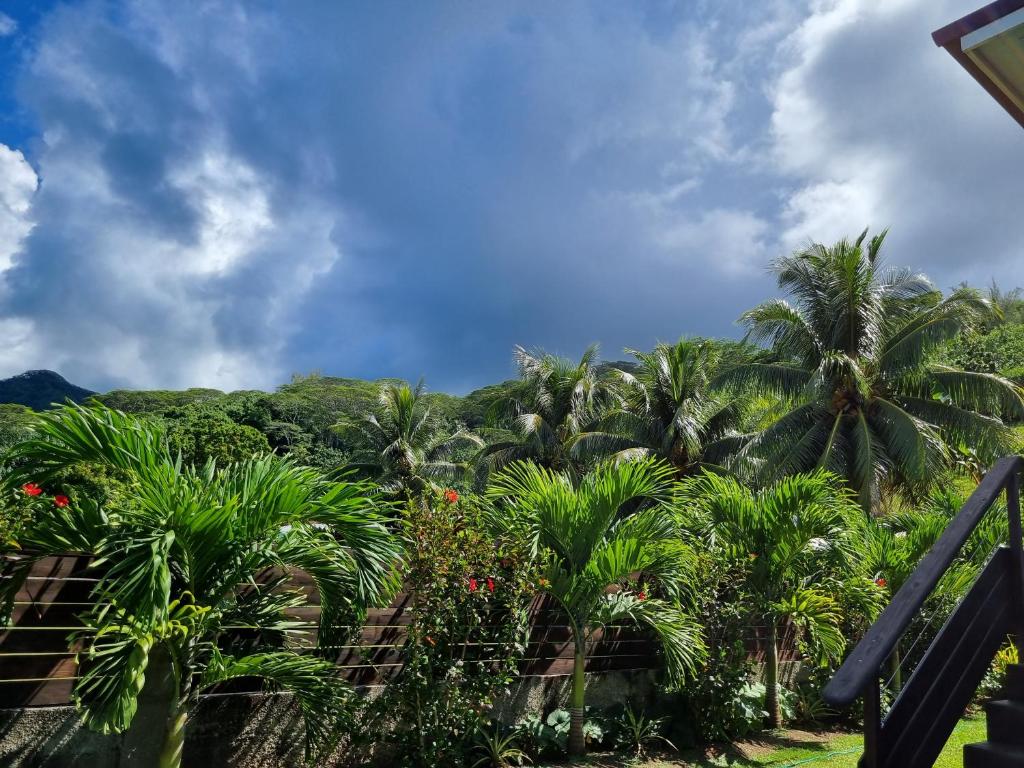 Zahrada ubytování Pension ANAPA LODGE - MOOREA