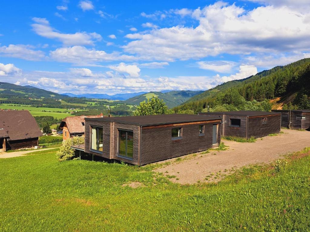 a cabin in a field with mountains in the background at 4 star holiday home in Gaal im Murtal in Pirkach