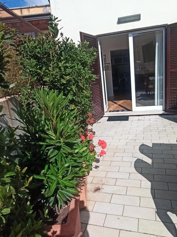 Budova, v ktorej sa apartmán nachádza