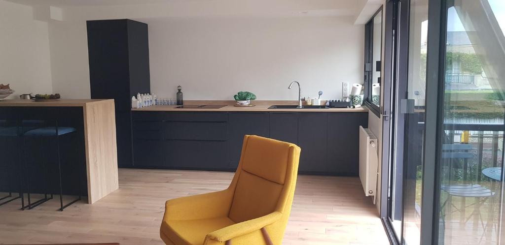 Kuchyňa alebo kuchynka v ubytovaní Au Nom du Zen 3 pièces avec terrasse cœur Deauville