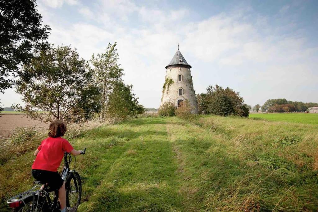 Jízda na kole v ubytování Bel-Etage 11 nebo okolí