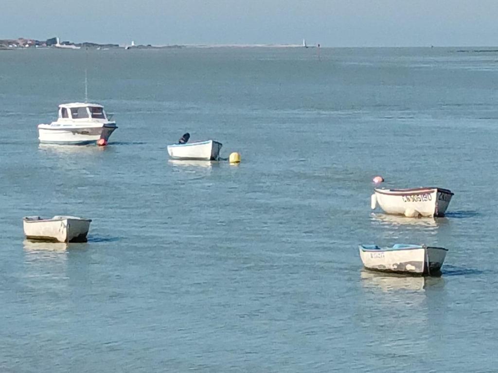 een groep boten drijvend in het water bij LE 16 CHAMBRES D'HÔTE in Friville-Escarbotin