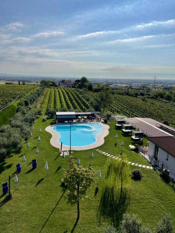 widok z powietrza na basen na polu winorośli w obiekcie Le Mistral w mieście Sommacampagna